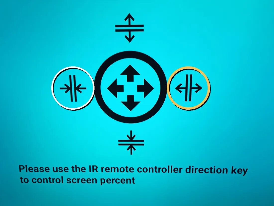 The screen with the arrows to change the picture size